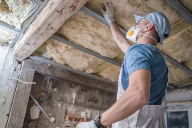 Professional Insulation Contractor in NE