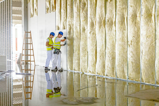 Best Insulation Maintenance and Repair in Valenti, NE